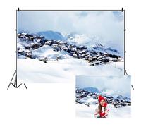 SDOTPMT 5x3ft Winter Landscape Polyester Backdrop Rustic Snowflake Bokeh Snowy Wonderland Scene Photography Background for Family Christmas Party Decor Family Reunion Photo Booth Props