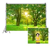 SDOTPMT 6x4ft Jungle Polyester Backdrop Forest Trees Sunshine Spring Scenery Photography Background Rustic Nature Landscape Backgrounds for Kids Birthday Party Cake Table Photo Studio Props