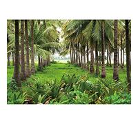 SDOTPMT 6x4ft Peaceful Natural Forest Polyester Backdrop Sunlight Evergreen Leaves Trees Spring Summer Rainforest Background for Kids Family Camping Theme Banner Events Photo Studio Props