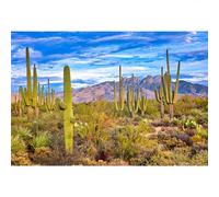 SDOTPMT 7x5ft Desert Cactus Polyester Backdrop Hewitt Canyon Saguaro Cactus Background Mountain Blue Sky Nature Scenery Backgrounds for Birthday Party Decor Adults Portrait Photo Booth Props