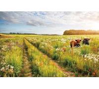 SDOTPMT 7x5ft Spring Polyester Backdrop Rural Field Cow Blooming Floral Sunshine Photography Background Rustic Nature Scenery Backgrounds fro Kids Birthday Party Decor Baby Shower Supplies