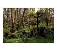 SDOTPMT 8x6ft Natural Forest Polyester Backdrop Trees Branches Wild Grass Fresh Rustics Nature Landscape Background for Children Family Camping Theme Happy Birthday Party Decor Banner Booth Prop