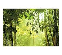 SDOTPMT 8x6ft Peaceful Natural Forest Polyester Backdrop Sunlight Evergreen Leaves Trees Spring Summer Rainforest Background for Kids Family Camping Theme Banner Events Photo Studio Props