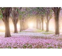 SDOTPMT 8x6ft Spring Scenery Polyester Backdrops for Photography Blossom Pink Cherry Blossom Sunshine Background Beautiful Garden Backgrounds for Newborn Party Decor Baby Shower Photo Studio Props