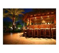 SDOTPMT 9x6ft Beach Bar Backdrop Dark Blue Sky at Night Palm Tree Wooden Vintage Outdoor Bar Table Photography Background for Summer Trip Holiday Party Photo Shooting Props Booth Props