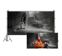 SDOTPMT 9x6ft Dungeon Photography Backdrop Halloween Party Role Play Theme Party Background Old Black Dark Brick Dungeon Spider Web Skull Mouse Party Banner Kids Adult Photo Studio Props