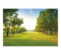 SDOTPMT 9x6ft Fresh Green Landscape Polyester Backdrop Spring Summer Rustic Grassland Trees River Sunny Blue Sky White Clouds Outdoor Party Theme Background Adults Portrait Studio Props