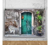 SDOTPMT 9x6ft Old Wall Door Polyester Backdrop Shabby Wooden Door and Ancient Stone Wall Design Photography Background Town View Outdoor Holiday Travel Themed Backdrops Photo Booth Studio Props