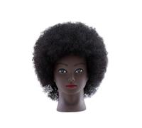 SDSKZOZP Afro Mannequin Heads With Human Hair Hairdresser Training Head Manikin Cosmetology Doll For Practice Styling Braiding(8 inch A)