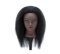 SDSKZOZP Afro Mannequin Heads With Human Hair Hairdresser Training Head Manikin Cosmetology Doll For Practice Styling Braiding(14 inch A)