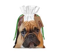 SDTYKHJ Christmas Gift Bags with Tags Christmas Drawstring Bag Cute French Bulldog Gift Wrapping Sacks Bags Cloth Pouches Personalized Xmas Candy Bag Reusable Party Favor Pouch Small