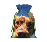 SDTYKHJ Christmas Gift Bags with Tags Christmas Drawstring Bag Funny Swimming Dog Gift Wrapping Sacks Bags Cloth Pouches Personalized Xmas Candy Bag Reusable Party Favor Pouch Medium