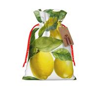 SDTYKHJ Christmas Gift Bags with Tags Christmas Drawstring Bag Lemon Branch Leaves Gift Wrapping Sacks Bags Cloth Pouches Personalized Xmas Candy Bag Reusable Party Favor Pouch Small