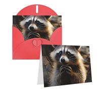 SDTYKHJ Greeting Card with Envelopes 4x6 in Get Well Blank Note Cards Cute Raccoon Birthday Card Thinking of You Card Funny Postcards for Birthday Wedding Invitations