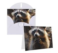 SDTYKHJ Greeting Card with Envelopes 4x6 in Get Well Blank Note Cards Cute Raccoon Birthday Card Thinking of You Card Funny Postcards for Birthday Wedding Invitations