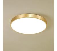 SDUYTDG LED 18-54W Ceiling Light Fixture 6000K Low Profile Flush Mount Lighting Fixture Cold Light Hallway Aisle Lamp With Acrylic Lampshade Light 30-60cm Gold