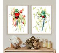SDVIB Quetzal Birds Watercolor Painting Canvas Poster Green Red Bird Poster Tropical Birds Wall Pictures For Living Room Decor15.7”x 19.6”(40x50cm) x2 No frame