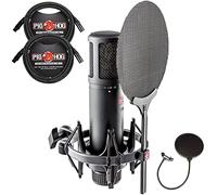 sE Electronics SE2200 Large-Diaphragm Condenser Microphone Bundle with Shockmount, Pop Screen Filter and 2 10ft XLR Cables