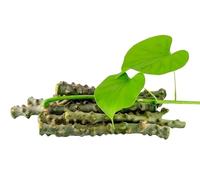 SE Neem Giloy Stick/Stem/Giloi Bel | A1 Quality Guruch/Gulvel/Guduchi Stems/Gudhi Stick for Natural Immunity Booster | Improve Digestion | Fresh & Handpicked | 6-inch, 15 Pieces