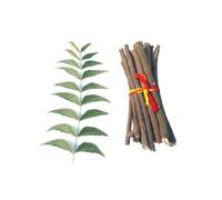 SE Neem Wood Sticks for Havan, Natural Sacred Fire Ritual Wood, Bundle of Neem Lakdi