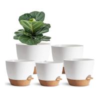 SE SUN-E 5Pack Self Watering Plant Pots for Lazy People, 7/6.5/6/5.5/5 Inch,White Plastic Self Watering Planter for All Houseplants,Succulent, African Violets,Snake Plants, Flowers and Cactus