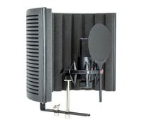 sE Electronics X1 S Studio Condenser Microphone