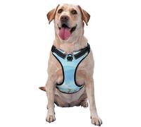 Sea and Fish Pattern Dog Harness - Lightweight,Soft,Adjustable Small Harness and Leash Set, Suitable for Puppy Small and Medium-Sized Dog-Large