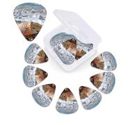 Sea and shells Guitar Picks 12 Pack Plectrums with Organizer Box, 3 Different Thickness Includes Thin Medium Heavy Picks