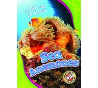 Sea Anemones