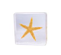 Sea Animal Specimen, Animal Taxidermy in Resin Paperweights, Real Insect in Resin Specimen for Biology Science Classroom Science Education, Desk Decor, Collectibles Study (Sea Animal-1, 3x3x0.8 inch)