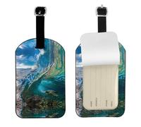 Sea Animal Turtle Floating Underwater Over The Coral Reef Print Leather Luggage Travel Bag Tags Neast Luggage Tag Holder Name Id Labels Set for Men Women, 1 Pack
