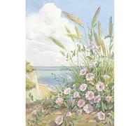 Sea Bindweed, Margaret Tarrant - Medici Print