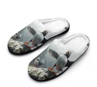 Sea Birds on The Reef Mens Slipper Slip On Winter Warm House Slippers Shoes Indoor Outdoor
