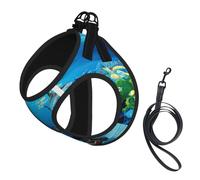 Sea Dolphin Print Dog Harness Small Sized And Leash Set, Step In Soft Light Puppy Vest Breathable Mesh Pet Harness