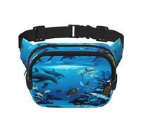 Sea Dolphin Unisex Adjustable Waist Square Double Layer Waist Pack for Outdoor Activities Travelling Running Hiking