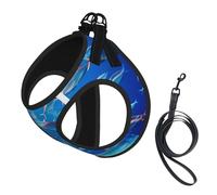 Sea Fishes Print Dog Harness,Pet Leash Vest,Adjustable And Reflective Vest,For Small To Medium Dogs