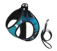 Sea Fishes Print Small Dog Harness with Leash Set, No Escape Easy Walk Puppy Harnesses for Training Walking