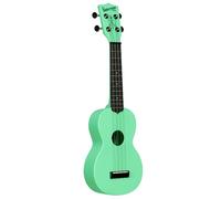 Sea Foam Green Soprano Recycled Waterman