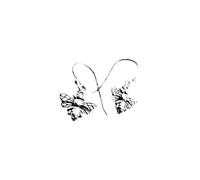 Sea Gems - Silver Bee Hook Earrings