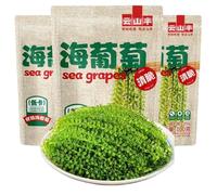 sea Grapes(100g*3packs)-Dehydrated Seaweed, Umibudo, Green Caviar, Lato Seaweed sea Grapes for Eating Delicious Kimchi, Side Dishes, Instant Pickles Vegetable, hot Pot Ingredients