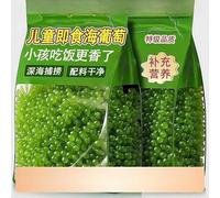 Sea Grapes, Also Known As Ocean Jade (100g) are A Low Calorie, Healthy Seaweed that is Rich in Nutrients, Easy to Consume, Does Not Require Cooking, and is Refreshing, Crispy, and Tender (1 Bag)