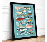 Sea Life Field Guide Modern Framed Wall Art Print A1 (84.1×59.4cm) Black, Wall Decor for Living Room, Bedroom, Office & Home, Ready to Hang, Art Gift