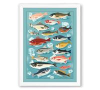 Sea Life Field Guide Modern Framed Wall Art Print A1 (84.1×59.4cm) White, Wall Decor for Living Room, Bedroom, Office & Home, Ready to Hang, Art Gift