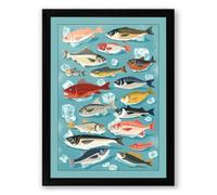 Sea Life Field Guide Modern Framed Wall Art Print A4 (29.7×21cm) Black, Wall Decor for Living Room, Bedroom, Office & Home, Ready to Hang, Art Gift