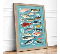 Sea Life Field Guide Modern Framed Wall Art Print A4 (29.7×21cm) Oak, Wall Decor for Living Room, Bedroom, Office & Home, Ready to Hang, Art Gift
