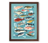Sea Life Field Guide Modern Framed Wall Art Print A4 (29.7×21cm) Walnut, Wall Decor for Living Room, Bedroom, Office & Home, Ready to Hang, Art Gift