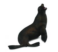 Sea Lion