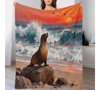Sea Lion Fleece Throw Blanket for Couch Sofa Bed All Season Sunset Coast Pattern Blanket Comfort Warmth Flannel Creative Gift for Women Girls Birthday 60x80inch(150x200cm)
