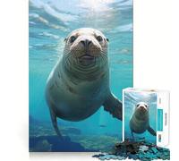 Sea Lion Friend 1000 Piece Jigsaw Puzzles for Adults Mind Skill Toy Casual Relax Design Assembly Art Collection Piece (38x52cm)