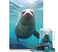 Sea Lion Friend 1000 Piece Jigsaw Puzzles for Adults Mind Skill Toy Casual Relax Design Assembly Art Collection Piece (38x52cm)